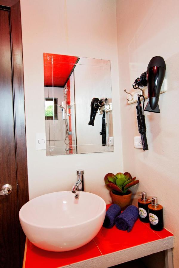 Casa Suculenta ,Monteverde Con Jacuzzi Privado Y Lavanderia Bagian luar foto